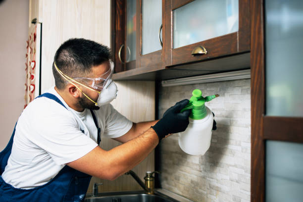 Best Exterminator Services  in Kaibito, AZ