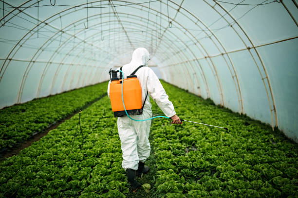 Best Affordable Pest Control Services  in Kaibito, AZ