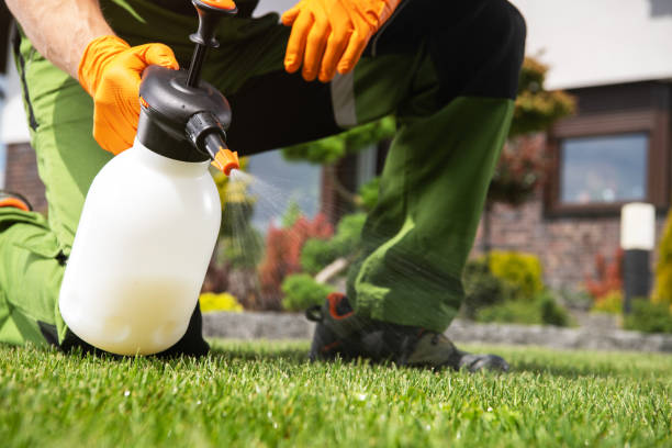 Best Best Pest Control Companies  in Kaibito, AZ
