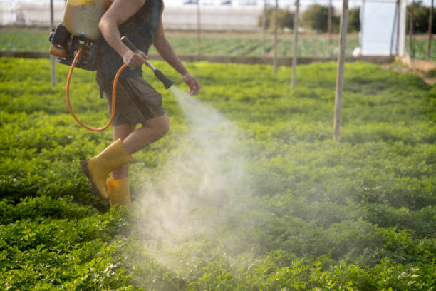 Best Best Pest Control Near Me  in Kaibito, AZ
