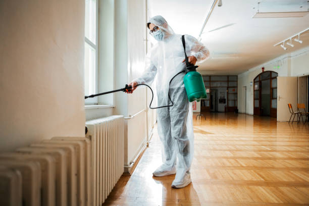 Best Local Pest Control Services  in Kaibito, AZ
