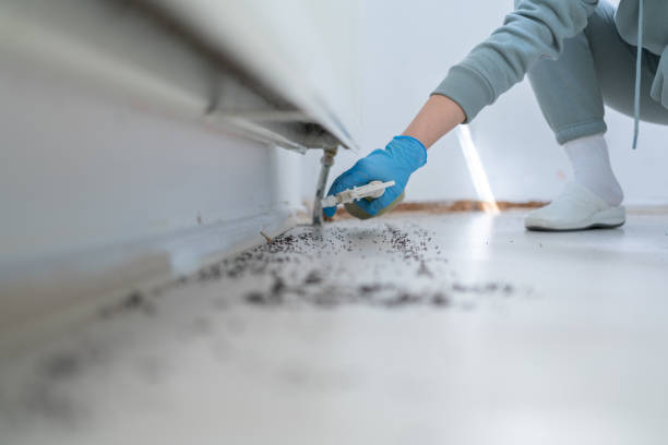 Wildlife Control Services in Kaibito, AZ